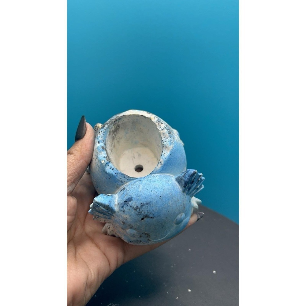 2 Axolotl  Concrete Planter Blue– Handmade Cement Succulent Plant  Pot, Handmade - Picture 5 of 12